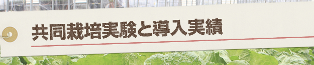 共同栽培実験と導入実績