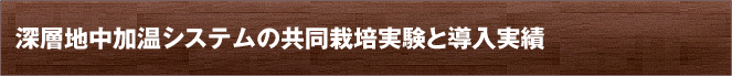 深層地中加温システムの共同栽培実験と導入実績