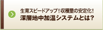 生育スピードアップ！収穫量の安定化！深層地中加温システムとは？