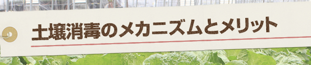 土壌消毒のメカニズムとメリット