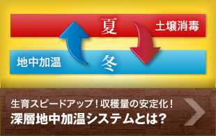 生育スピードアップ！収穫量の安定化！深層地中加温システムとは？