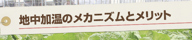 地中加温のメカニズムとメリット