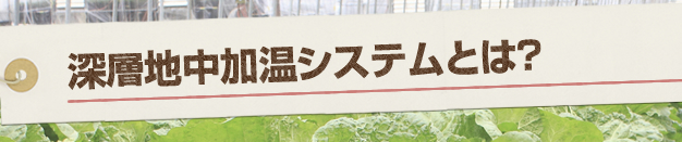 深層地中加温システムとは？